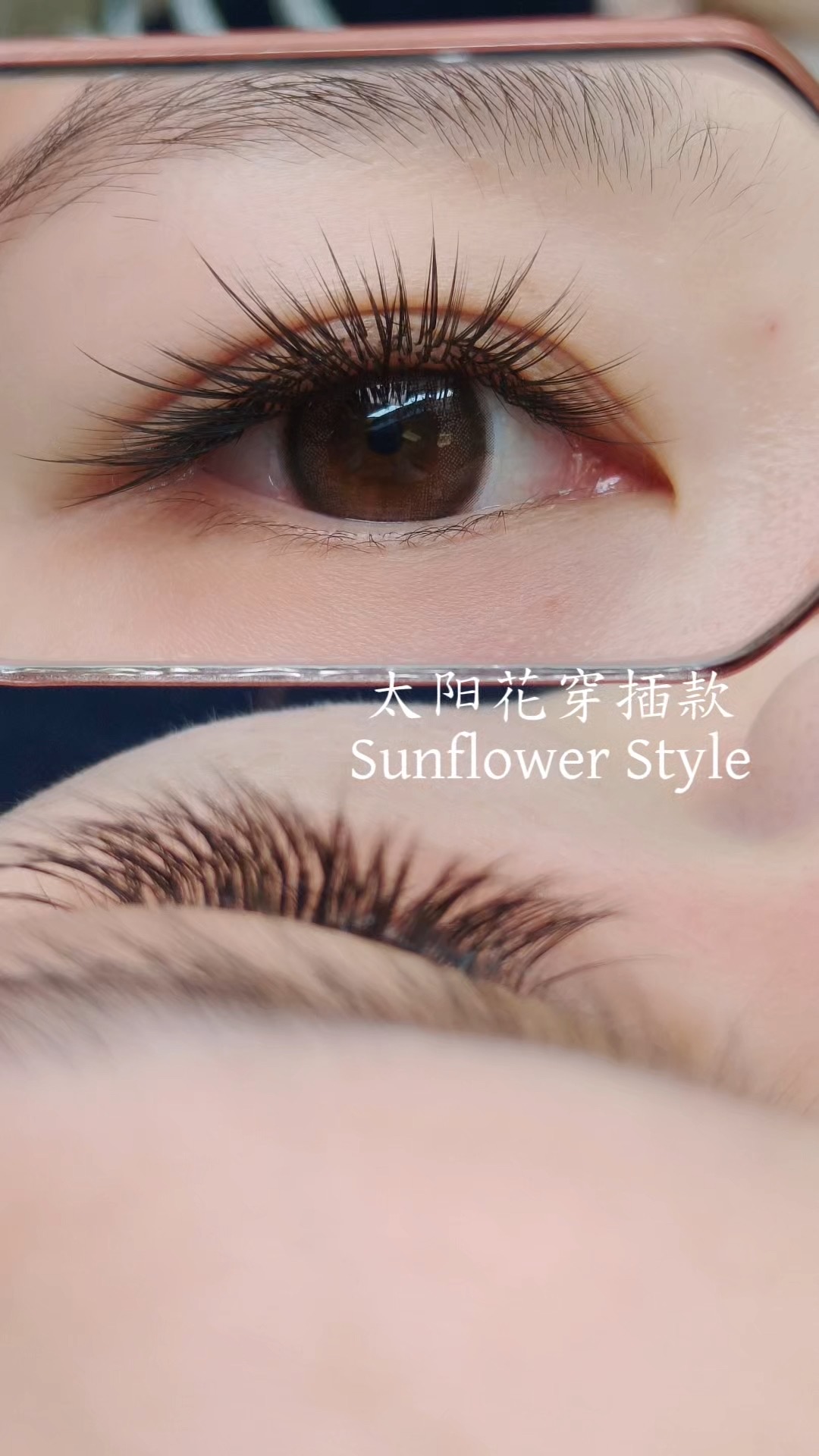 Sunflower Style lash extensions close-up